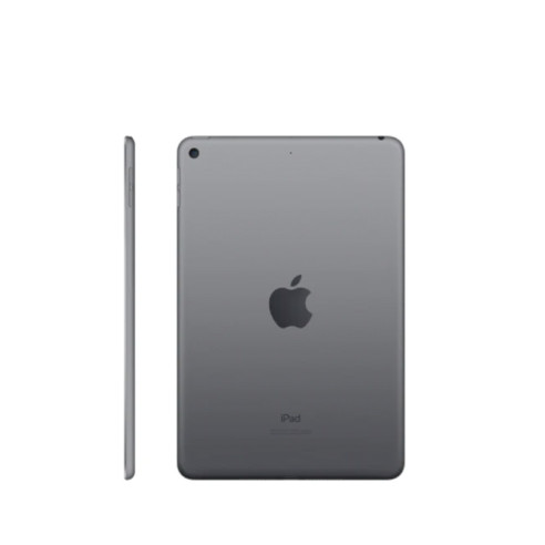 iPad Mini 5 Reacondicionado 64GB...
